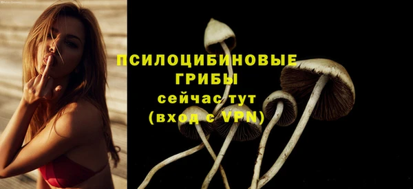 прущие грибы Алексеевка