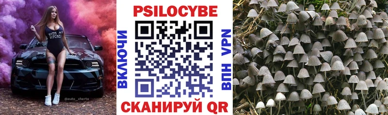 Псилоцибиновые грибы GOLDEN TEACHER  Кызыл 