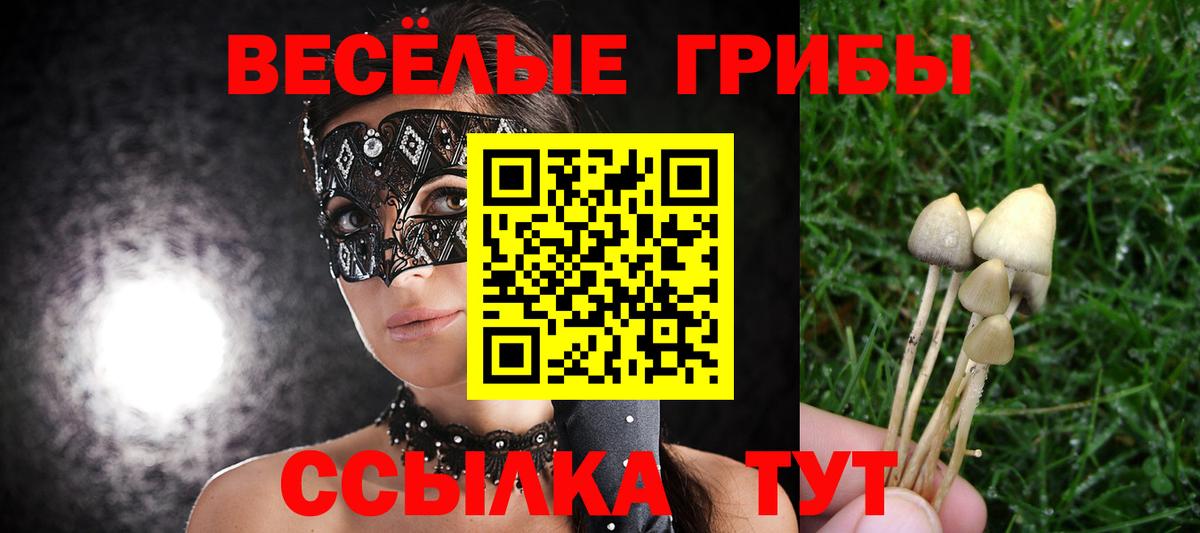 Псилоцибиновые грибы Cubensis Кызыл