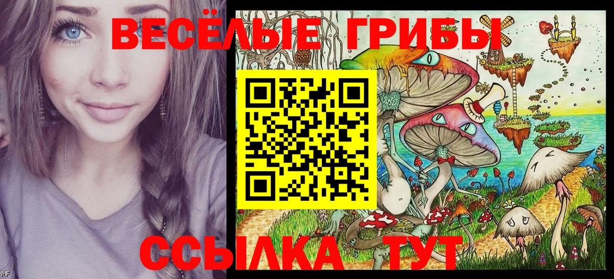 Кызыл  Псилоцибиновые грибы Psilocybine cubensis  где найти наркотики  Вход с VPN 
