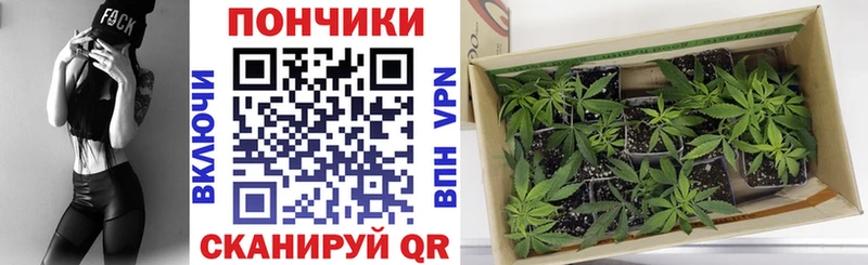 МЕГА маркетплейс Кызыл Бошки марихуана MAZAR